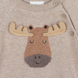 Moose Applique Raglan Pullover Sweater