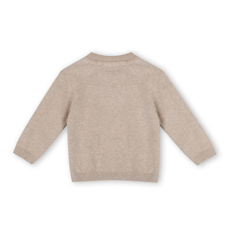 Moose Applique Raglan Pullover Sweater