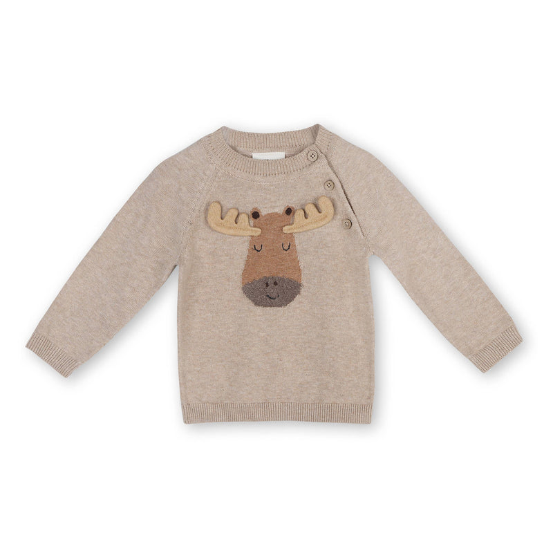 Moose Applique Raglan Pullover Sweater